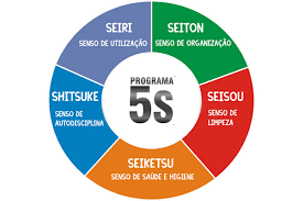 Curso Programa 5S